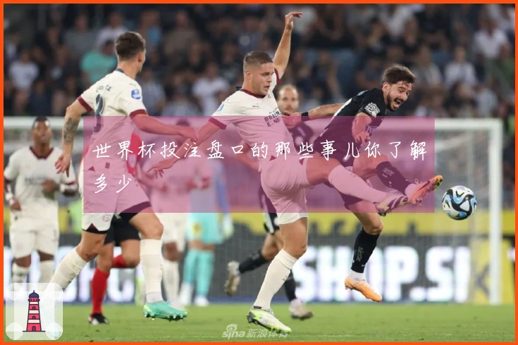 世界杯投注盘口的那些事儿你了解多少