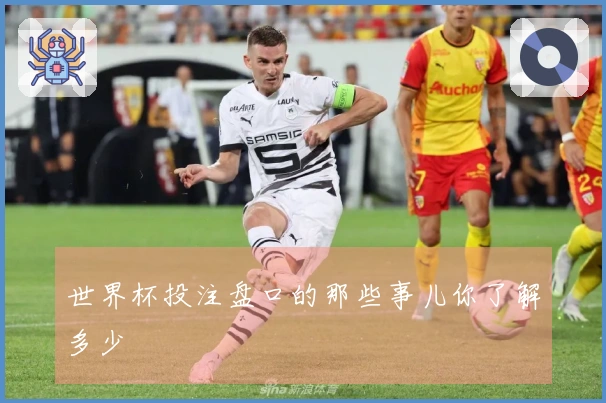 世界杯投注盘口的那些事儿你了解多少