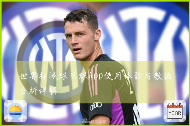 世界杯滚球买球App使用体验与数据分析详解