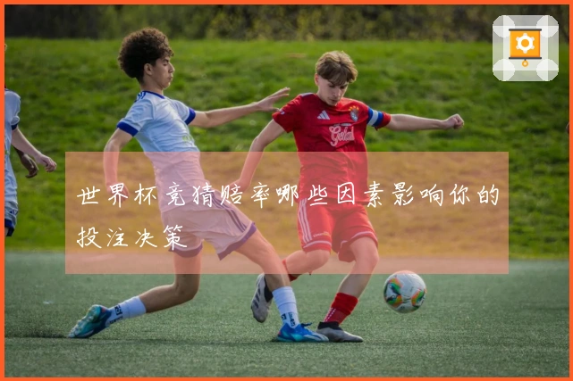 世界杯竞猜赔率哪些因素影响你的投注决策