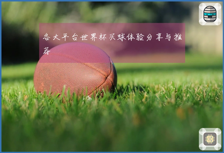 各大平台世界杯买球体验分享与推荐