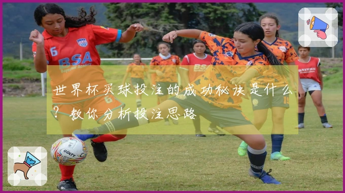 世界杯买球投注的成功秘诀是什么？教你分析投注思路