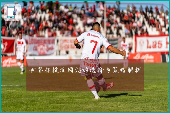 世界杯投注网站的选择与策略解析