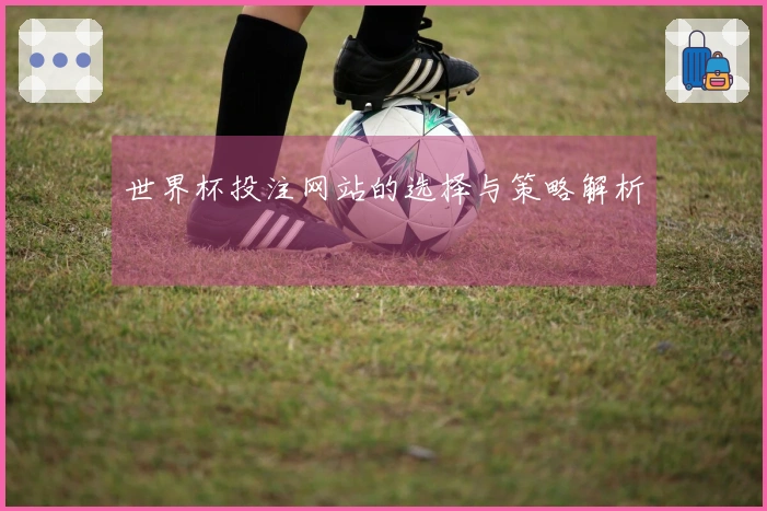 世界杯投注网站的选择与策略解析