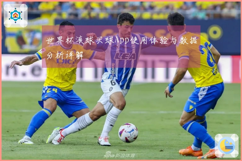 世界杯滚球买球App使用体验与数据分析详解